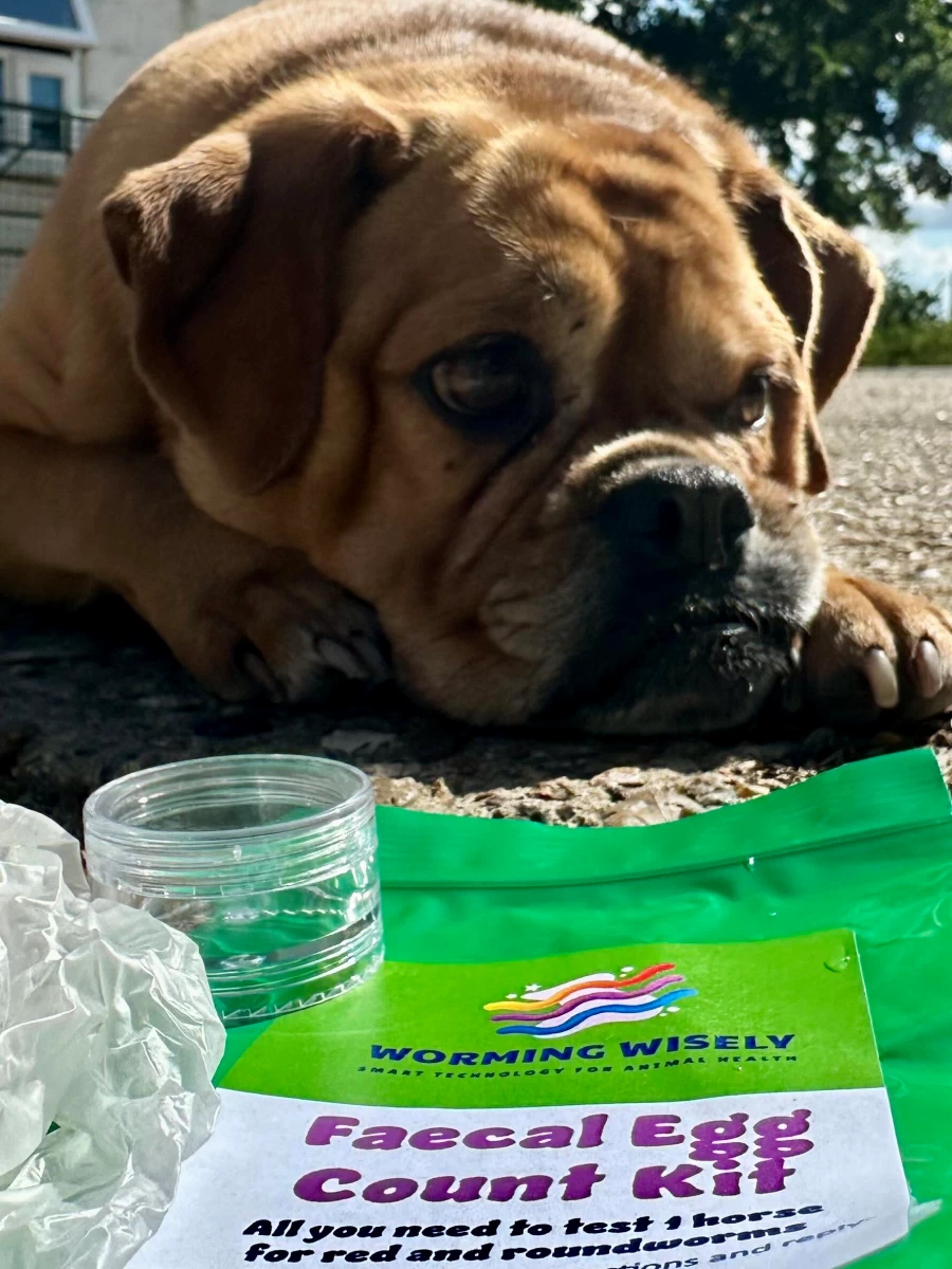 Smart Animal Worm Testing